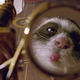 Image for article titled 10 Things We Desperately Want to See in Philip Pullman's Follow-Up to His Dark Materials